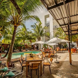 Che & Bar Adults Only Auberge de jeunesse